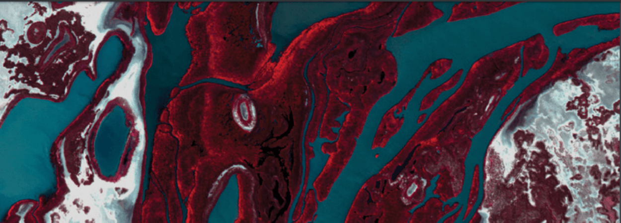 LiDAR